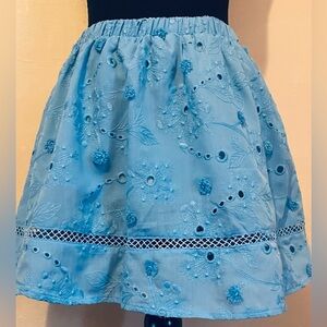 Floral Embroidered Blue Skirt